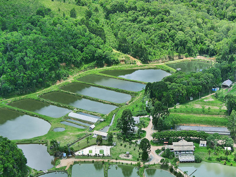 Valle Verde Pesca e Lazer